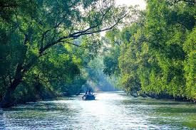 Explore the Mystical Sundarbans