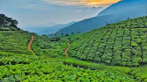 Discover the Tranquil Charm of Sreemangal